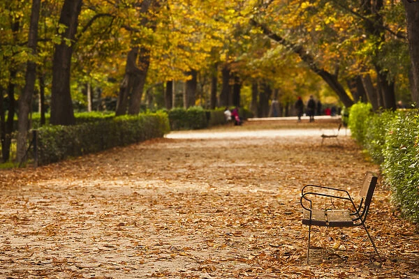 Spain, Madrid, Parque del Buen Retiro park, fall foliage
