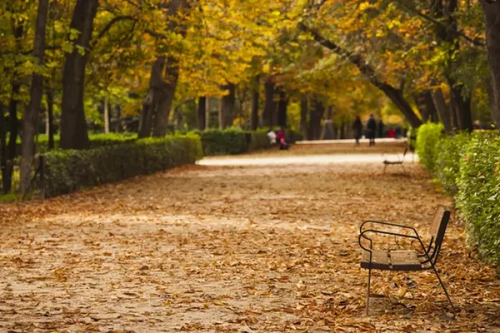 Framed Print : Spain, Madrid, Parque del Buen Retiro park, fall foliage Framed Print : Spain, Madrid, Parque del Buen Retiro park, fall foliage