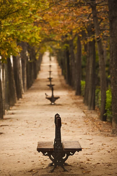 Spain, Madrid, Parque del Buen Retiro park, fall foliage