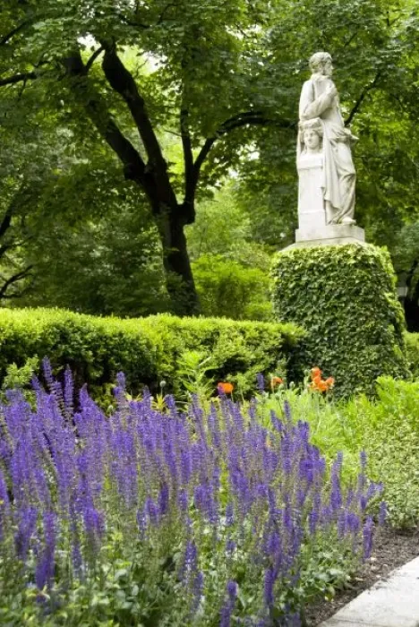 Framed Print : Spain, Madrid. Royal Botanic Garden aka Real Jardin Botanico