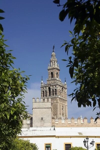 Spain, Seville. The Cathedral of Seville, Cathedral de Sevilla. View of the Cathedral