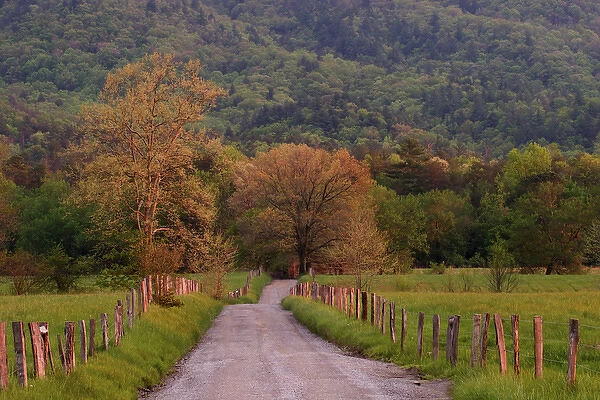 Sparks Lane in early spring Cades Cove Great Smoky Mountains N. P. TN