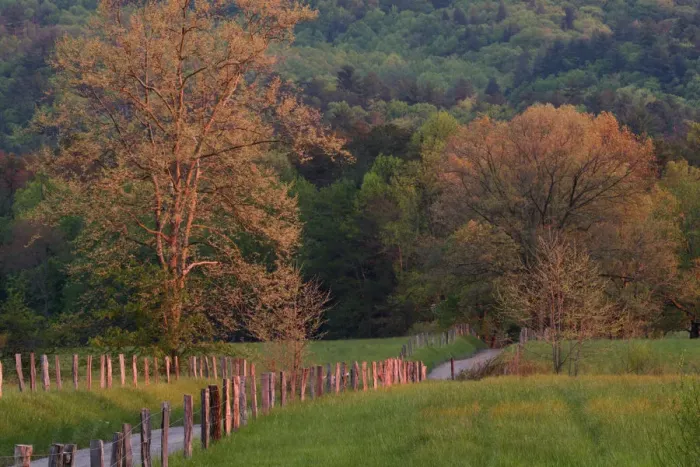 Framed Print : Sparks Lane in early spring Cades Cove Great Smoky Mountains N. P. TN Framed Print : Sparks Lane in early spring Cades Cove Great Smoky Mountains N. P. TN