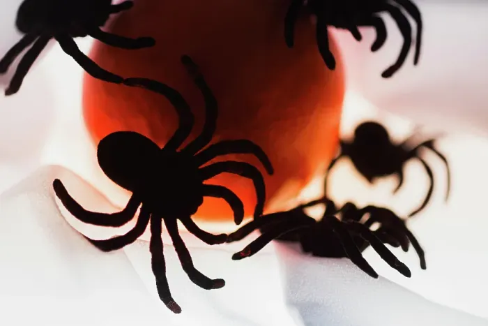 Framed Print : Spiders and light Framed Print : Spiders and light