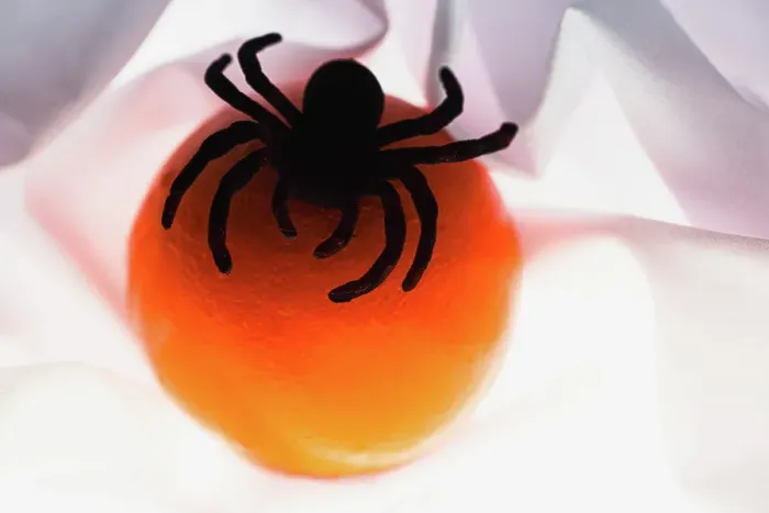 Framed Print : Spiders and light Framed Print : Spiders and light