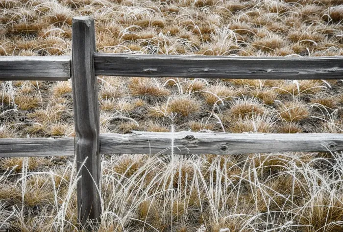 Framed Print : Split rail fence and wild rye in hoar frost, Bend, Oregon