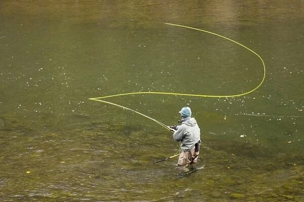 Sport fisherman fly fishing for steelhead trout in the Bulkley River, Kispiox Valley