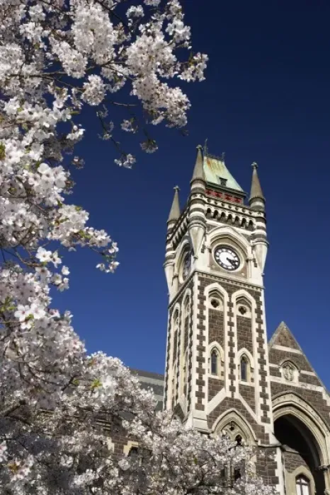 Framed Print : Spring Blossom and Clock Tower, Historical Registry Building, University of Otago Framed Print : Spring Blossom and Clock Tower, Historical Registry Building, University of Otago