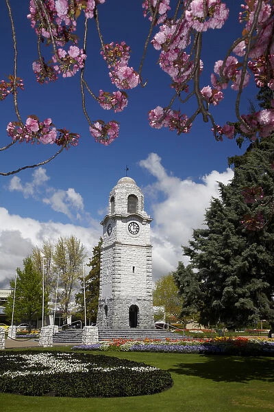 Spring blossom and Memorial Clock Tower, Seymour Square, Blenheim, Marlborough, South Island