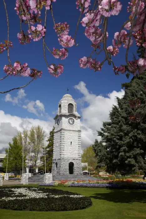 Framed Print : Spring blossom and Memorial Clock Tower, Seymour Square, Blenheim, Marlborough, South Island Framed Print : Spring blossom and Memorial Clock Tower, Seymour Square, Blenheim, Marlborough, South Island