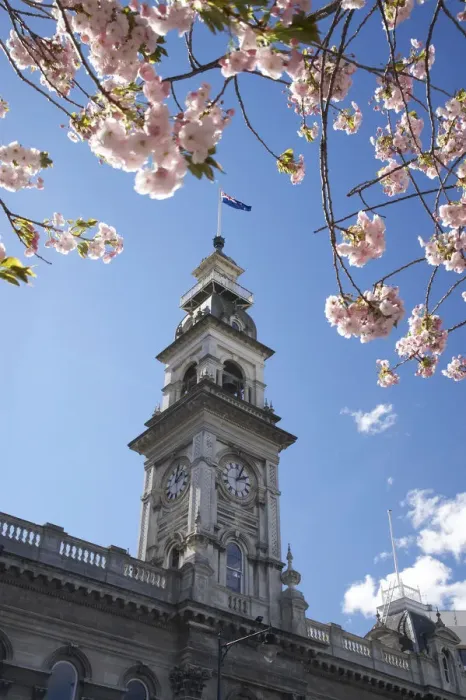 Framed Print : Spring Blossom and Minicipal Chambers Clock Tower, Octagon, Dunedin, Otago, South Island Framed Print : Spring Blossom and Minicipal Chambers Clock Tower, Octagon, Dunedin, Otago, South Island