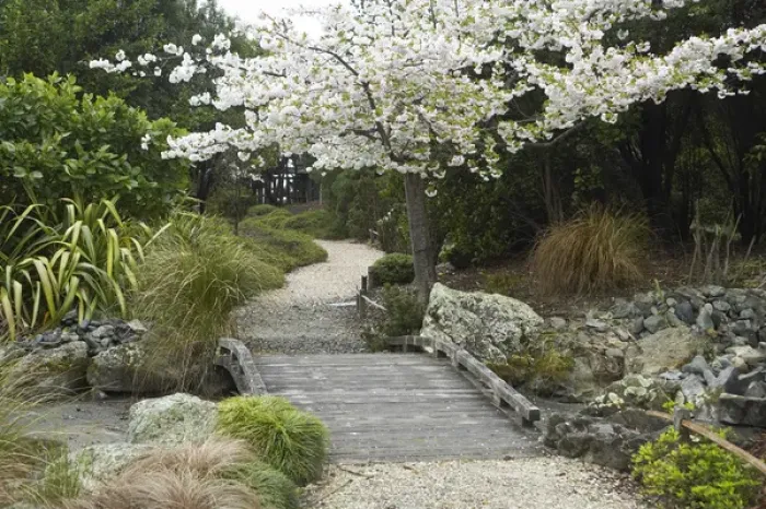 Framed Print : Spring Blossom, Miyazu Japanese Garden, Nelson, South Island, New Zealand