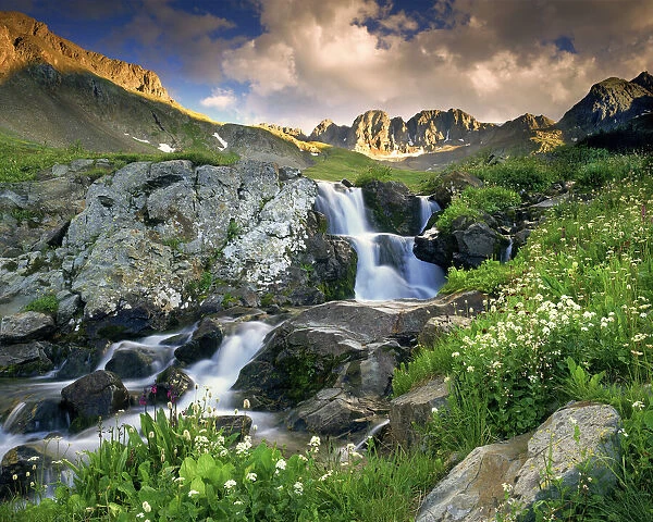 A spring cascade with white wildflowers in American Basin in the Colorado Rocky Mountains
