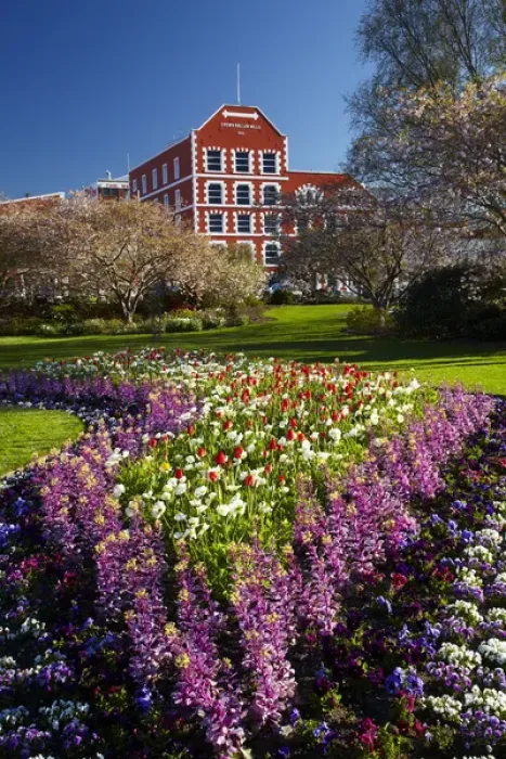 Framed Print : Spring flowers and historic Crown Mills Building, Dunedin, Otago, South Island, New