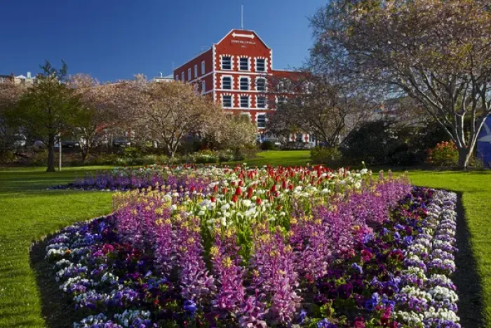Framed Print : Spring flowers and historic Crown Mills Building, Dunedin, Otago, South Island, New Framed Print : Spring flowers and historic Crown Mills Building, Dunedin, Otago, South Island, New