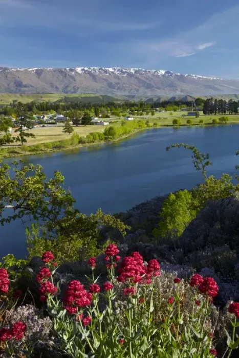 Framed Print : Spring flowers, Lake Dunstan, Cromwell, and Pisa Range, Central Otago, South Island Framed Print : Spring flowers, Lake Dunstan, Cromwell, and Pisa Range, Central Otago, South Island