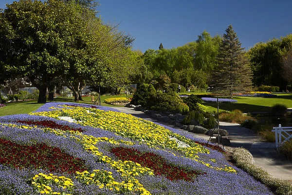 Spring Flowers, Pollard Park, Blenheim, Marlborough, South Island, New Zealand