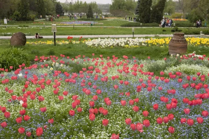 Framed Print : Spring in Herastrau Park in the City center of Bucharest. Herastrau is the biggest Framed Print : Spring in Herastrau Park in the City center of Bucharest. Herastrau is the biggest