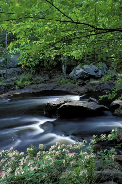 Framed Print : Spring at Packers Falls on the Lamprey River. A National Wild and Scenic River Framed Print : Spring at Packers Falls on the Lamprey River. A National Wild and Scenic River
