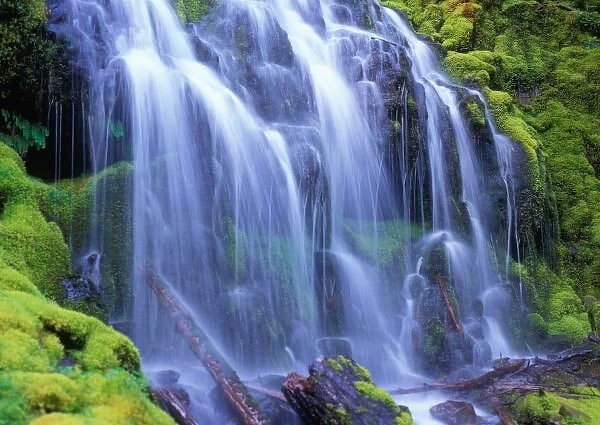 Spring-time fresh water flowing over moss carpeted rocks Proxy Falls in Oregon s