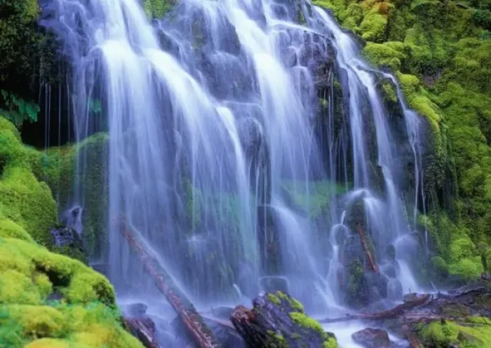 Framed Print : Spring-time fresh water flowing over moss carpeted rocks Proxy Falls in Oregon s Framed Print : Spring-time fresh water flowing over moss carpeted rocks Proxy Falls in Oregon s