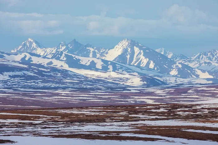 Framed Print : Springtime on the arctic tundra landscape of the Seward Peninsula Framed Print : Springtime on the arctic tundra landscape of the Seward Peninsula