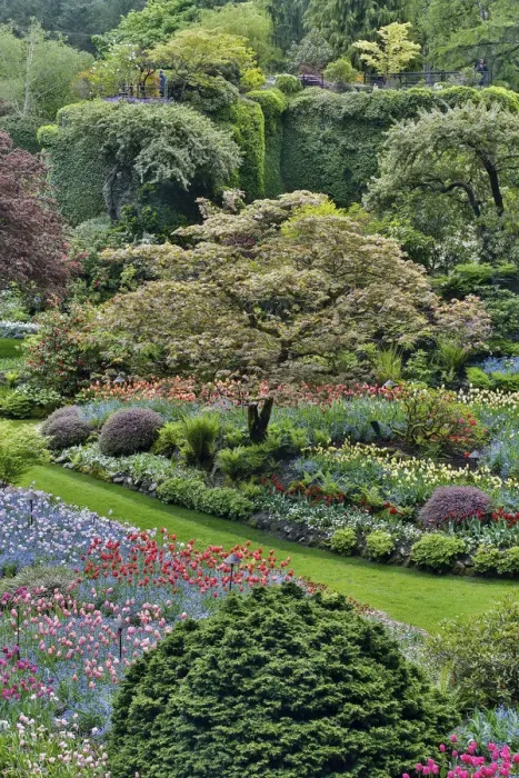 Framed Print : Springtime Butchart Gardens, Victoria, British Columbia, Canada