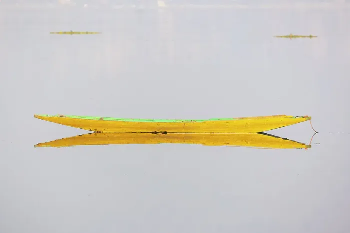 Framed Print : Srinagar, Jammu and Kashmir, India. Traditional yellow boat on a calm Lake Dal