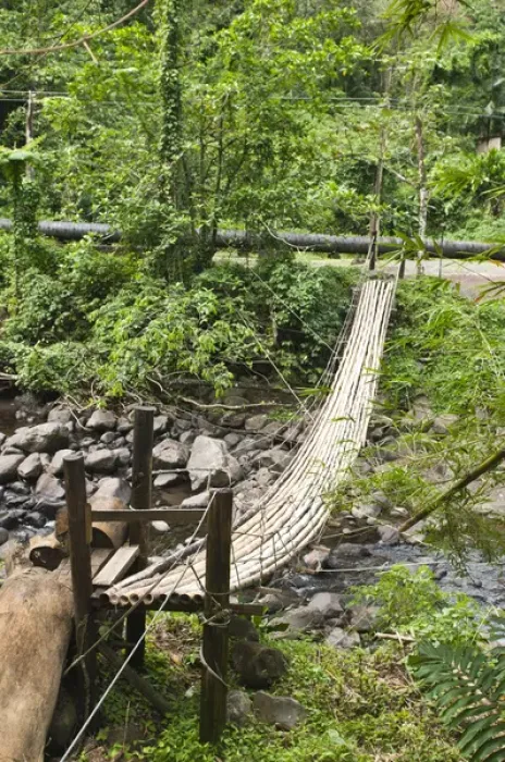 Framed Print : St. Vincent & The Grenadines. Bamboo bridge at Dark View Falls Framed Print : St. Vincent & The Grenadines. Bamboo bridge at Dark View Falls