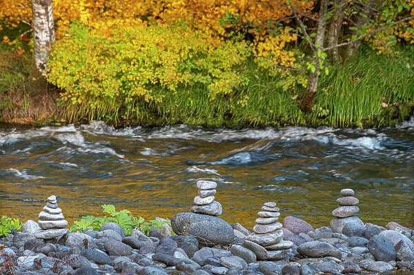 Stacked stones on Fall-colored vine maple band of the McKenzie National Wild