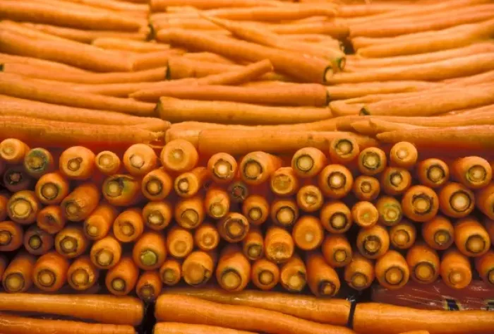 Framed Print : Stacks of orange carrots Framed Print : Stacks of orange carrots