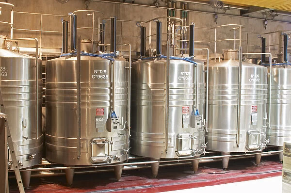 Stainless steel fermentation tanks with on top equipement for doing pigeage'