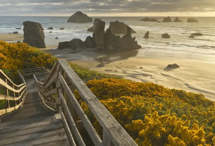 Framed Print : A stairway leads to the beach in Bandon, Oregon Framed Print : A stairway leads to the beach in Bandon, Oregon
