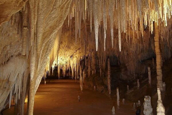 Stalactites, Newdegate Cave, Hastings Caves, Southern Tasmania, Australia