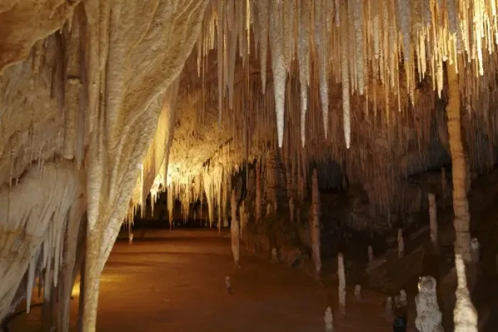 Framed Print : Stalactites, Newdegate Cave, Hastings Caves, Southern Tasmania, Australia