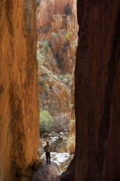 Standlley Chasm, West MacDonnell Ranges, near Alice Springs Outback, Northern Territory