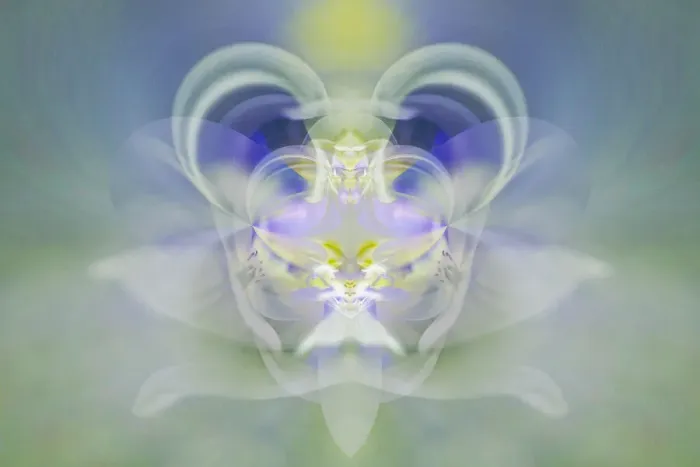 Framed Print : Star of Bethlehem