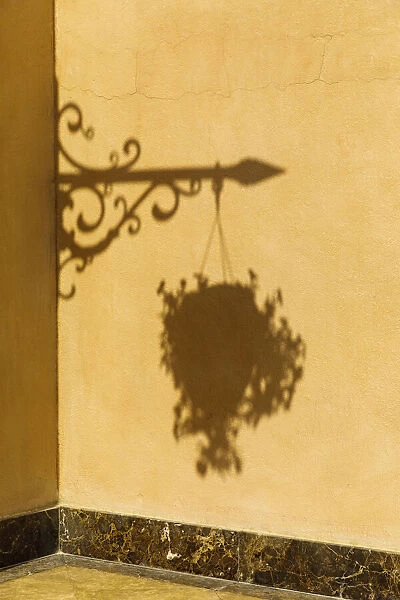 State of Qatar, Doha. Shadow of hanging plant and ironwork