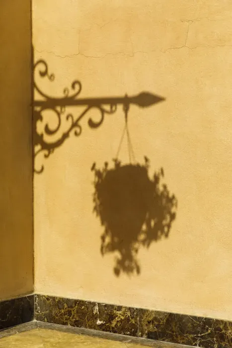 Framed Print : State of Qatar, Doha. Shadow of hanging plant and ironwork Framed Print : State of Qatar, Doha. Shadow of hanging plant and ironwork