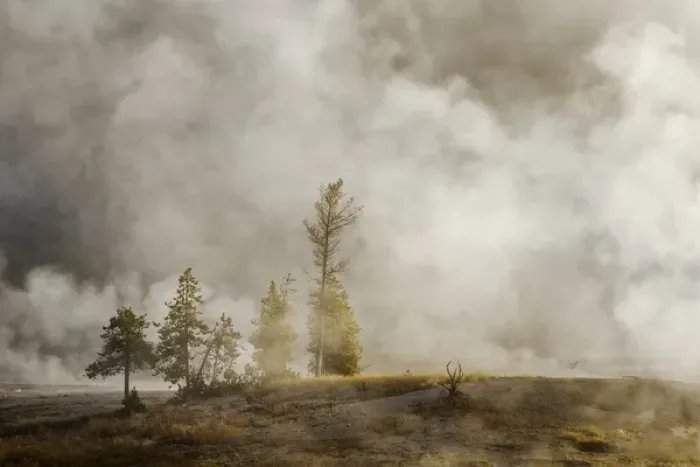 Framed Print : Steam around trees, Upper Geyser Basin, Yellowstone National Park, Montana / Wyoming Framed Print : Steam around trees, Upper Geyser Basin, Yellowstone National Park, Montana / Wyoming