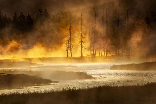 Steaming Madison River at sunrise, Yellowstone National Park, Wyoming