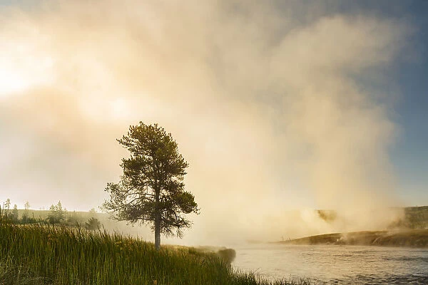Steaming mist at sunrise along Firehole River, Yellowstone National Park, Wyoming  /  Montana