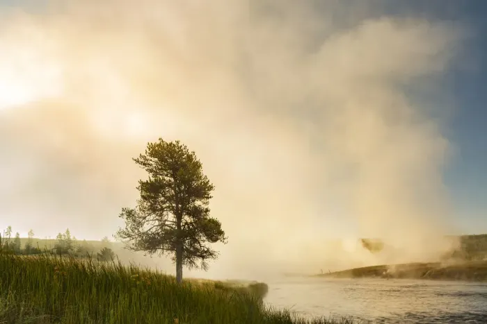 Framed Print : Steaming mist at sunrise along Firehole River, Yellowstone National Park, Wyoming / Montana Framed Print : Steaming mist at sunrise along Firehole River, Yellowstone National Park, Wyoming / Montana