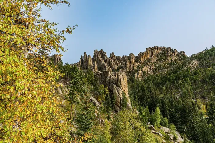 Framed Print : Steep and rocky and forested slopes define much of the habitat at Custer State Park