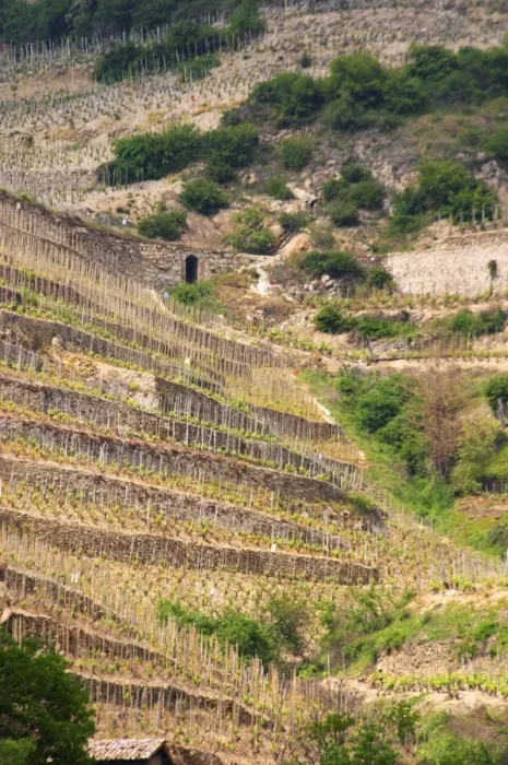 Framed Print : Steep slopes leading up to the chapel. The Hermitage vineyards on the hill behind Framed Print : Steep slopes leading up to the chapel. The Hermitage vineyards on the hill behind