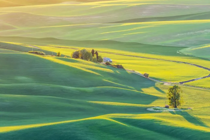Framed Print : Steptoe Butte State Park, Washington State, USA. Sunset view of wheat fields in Framed Print : Steptoe Butte State Park, Washington State, USA. Sunset view of wheat fields in