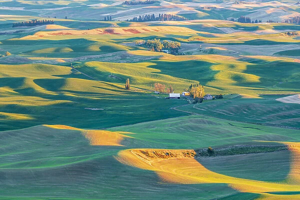 Steptoe Butte State Park, Washington State, USA. Sunset view of wheat farms in
