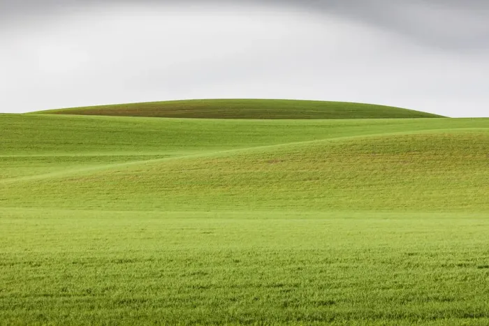 Framed Print : Steptoe, Washington State, USA. Wheat fields in the rolling Palouse hills of Washington