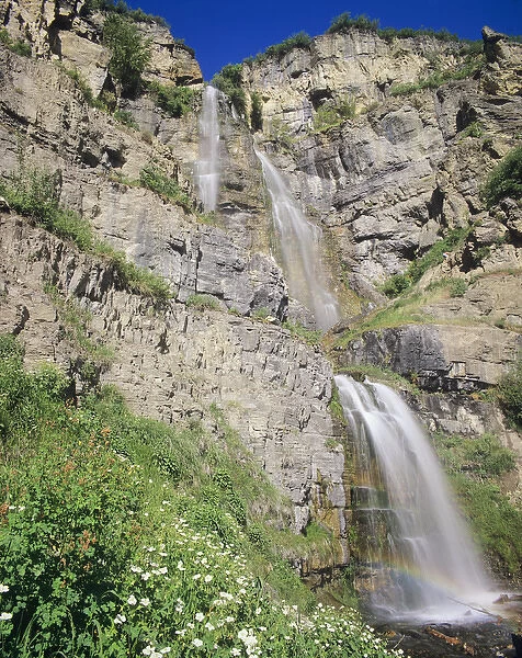 Stewart Falls and wildflowers, Near Mt. Timpanogos, Uinta Wasatch Cache National Forest