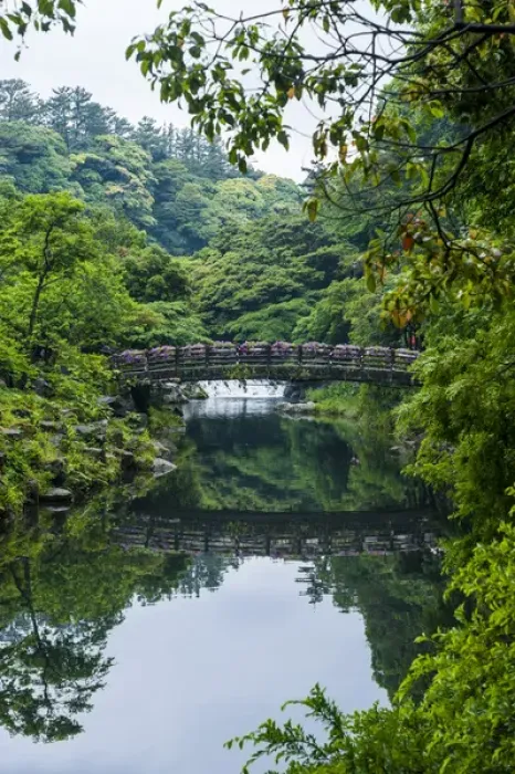 Framed Print : Stone bridge with flowers in Seogwipo, Unesco world heritage sight the island of Jejudo Framed Print : Stone bridge with flowers in Seogwipo, Unesco world heritage sight the island of Jejudo